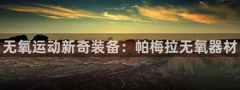 意昂5(KGAME)娱乐首页官网下载:无氧运动新奇装备:帕梅