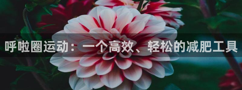 意昂体育5(KGAME)招商电话号码:呼啦圈运动:一个高效、