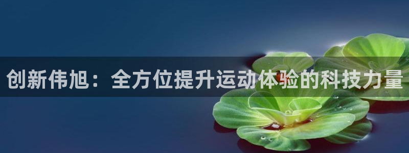 意昂体育5(KGAME)平台注册:创新伟旭:全方位提升运动体