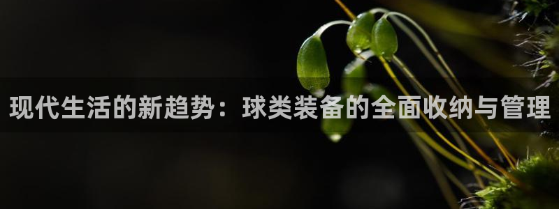 意昂5(KGAME)官网:现代生活的新趋势:球类装备的全面收