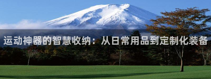 意昂体育5(KGAME)软件:运动神器的智慧收纳:从日常用品